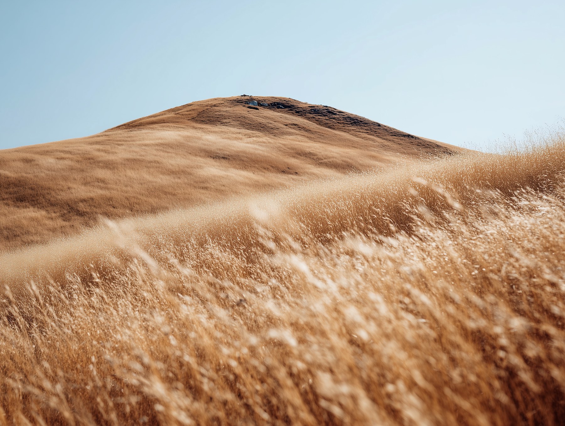 Golden hills